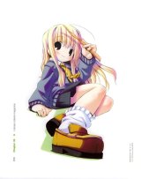 BUY NEW moetan - 128782 Premium Anime Print Poster